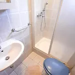Holiday home House Rovana